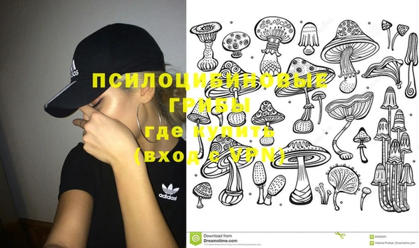 дмт Бронницы