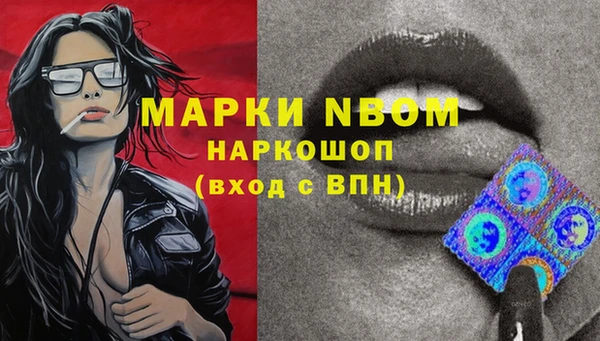 не бодяженный Бородино
